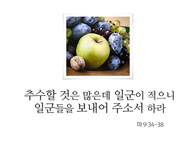 message_259.jpg