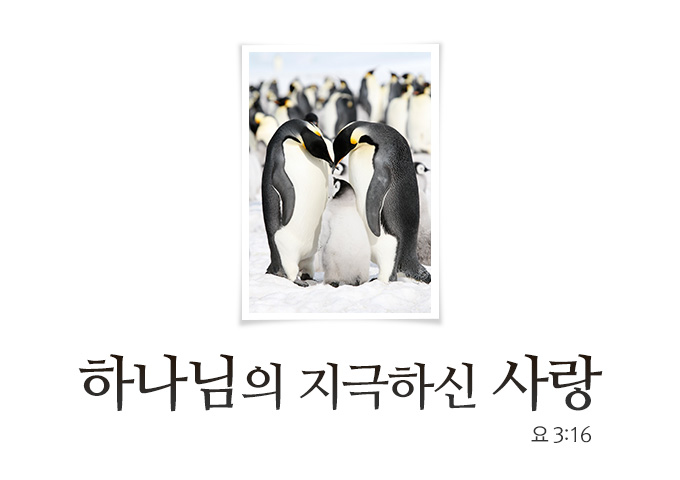 36_하나님의 지극하신 사랑.jpg