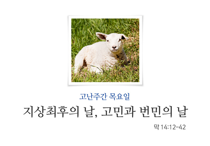 message_207.jpg