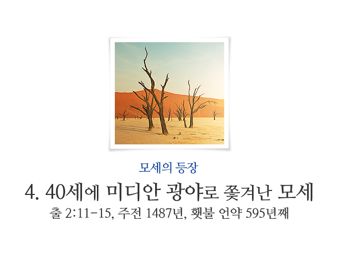 book_230.jpg