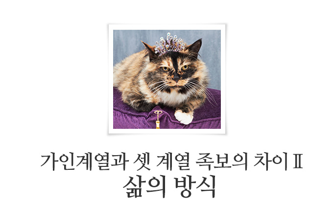 book_126.jpg