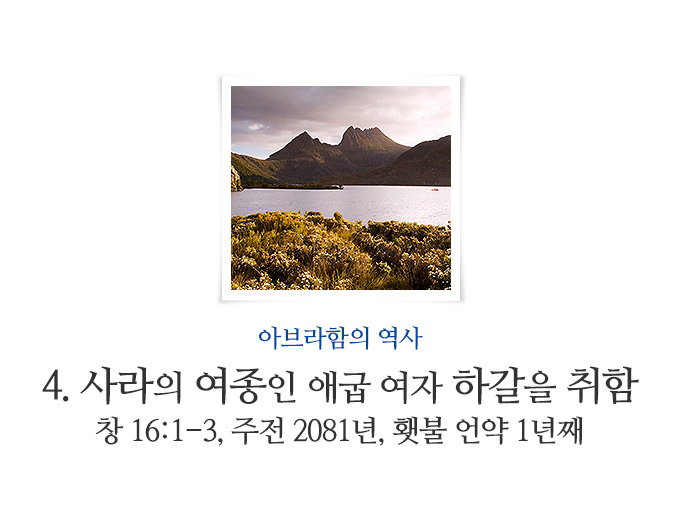 book_186.jpg