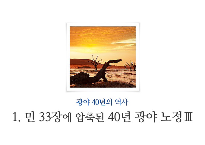 book_247.jpg