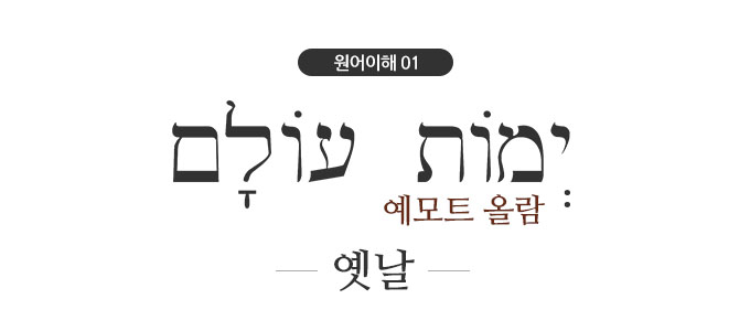 올람 이미지